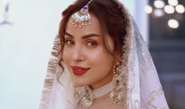 Nimra Khan Divorce Rumours Spark Reactions From Fellow Actors